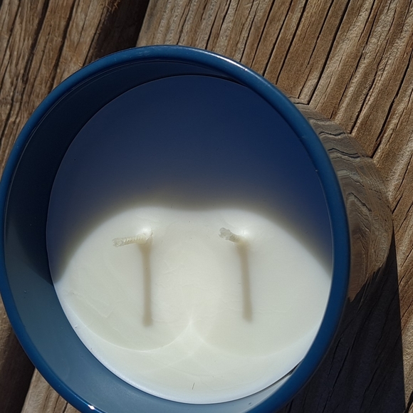 Bellevue Accents Bellevue Luxury Dble Wick 2 Oz White Aspen Juniper